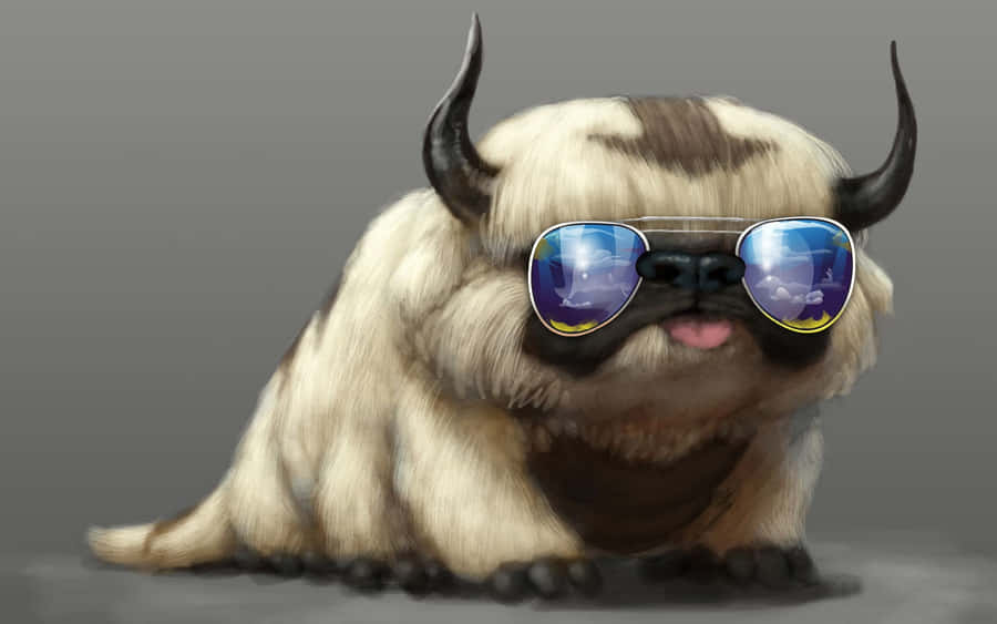 Stylish Sunglasses Reflection Wallpaper