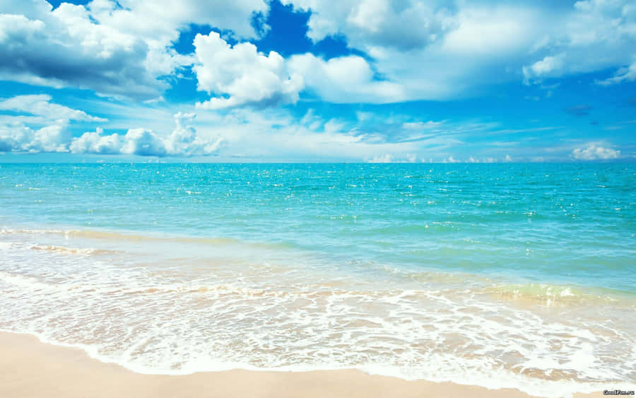 Summertime Blue Ocean Wallpaper
