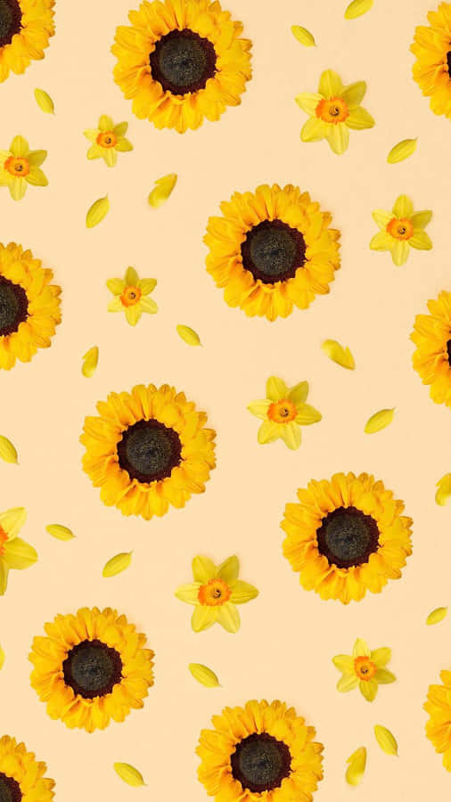 Sunflowers On A Beige Background Wallpaper