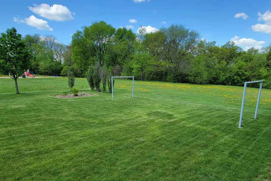 Sunny Dayat Community Park Soccer Field Wallpaper