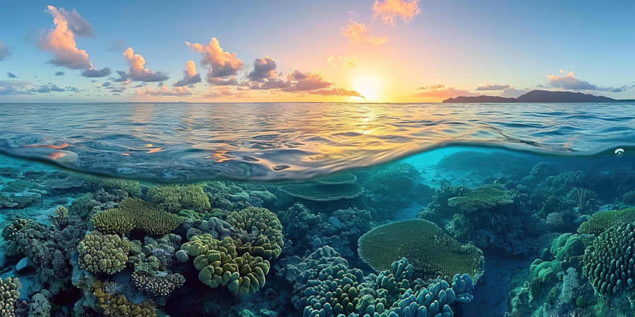 Sunrise_ Over_ Great_ Barrier_ Reef Wallpaper