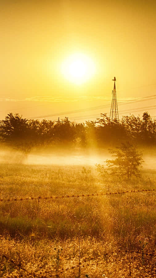 Sunset Sky Country Scenes Portrait Wallpaper