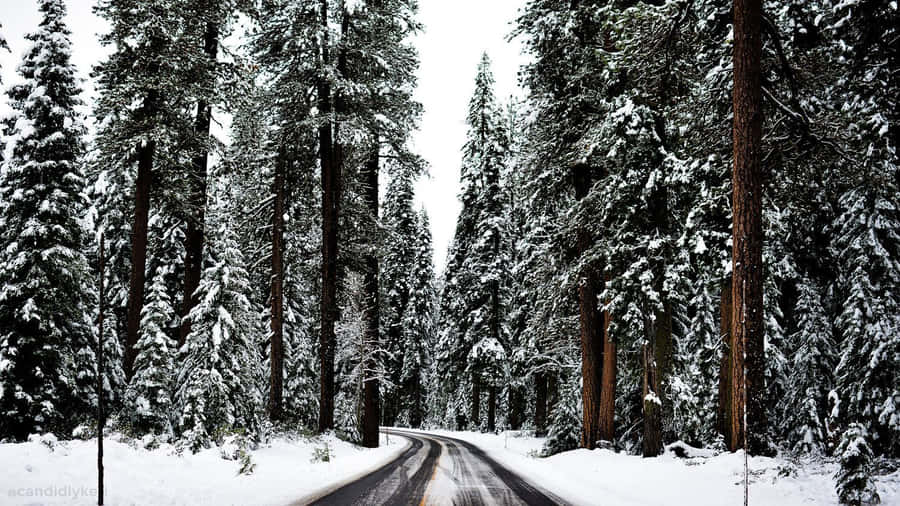 Surf The Winter Weather With A Laptop Wallpaper