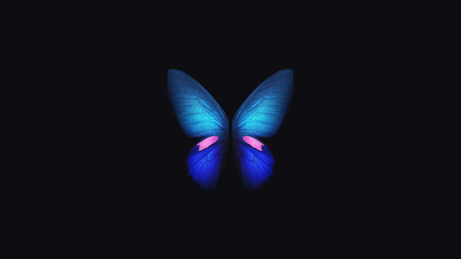 Surrounded By Beauty Wallpaper