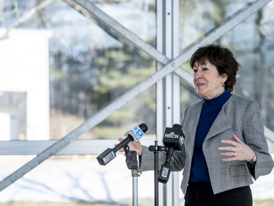 Susan Collins At Live Press Interview Wallpaper