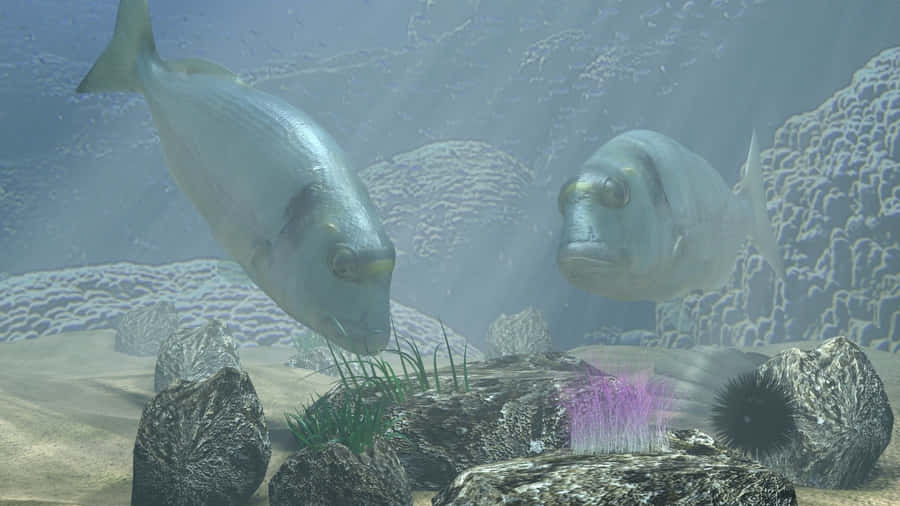 Swimming In Synchronicity Wallpaper