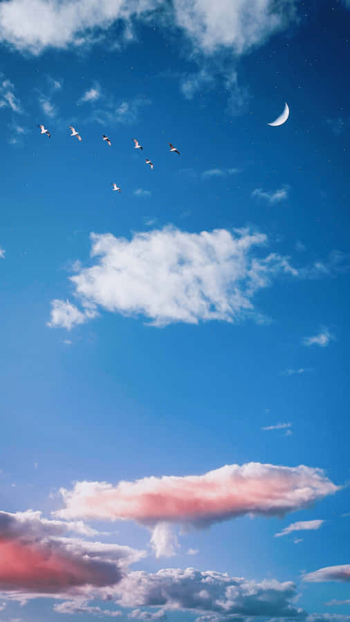 Take A Break And Appreciate The Beauty Of The Clouds Wallpaper