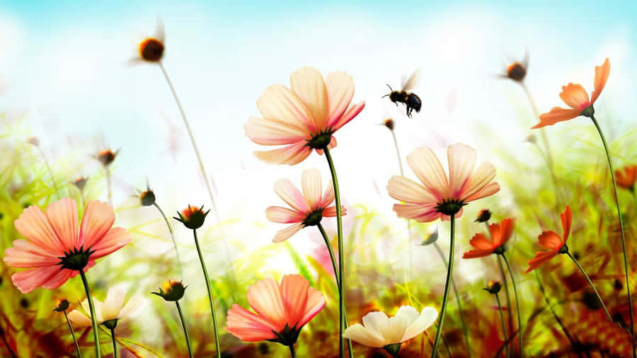 Take A Break And Enjoy The Summer With This Cute Desktop Wallpaper! Wallpaper