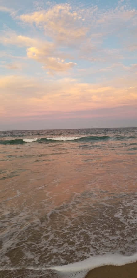 Take A Dive And Explore The Depths Of The Ocean With This Beautiful Phone Wallpaper