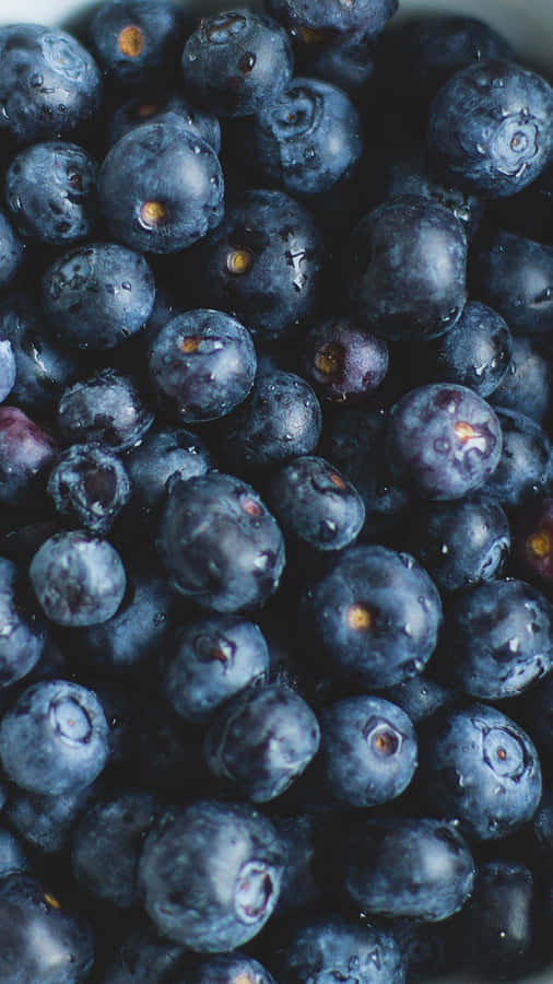 Take Advantage Of Life's Sweetest Simple Pleasures Wallpaper