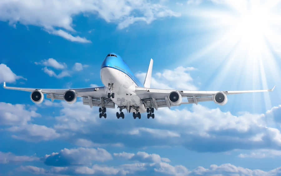 Take Flight Wallpaper