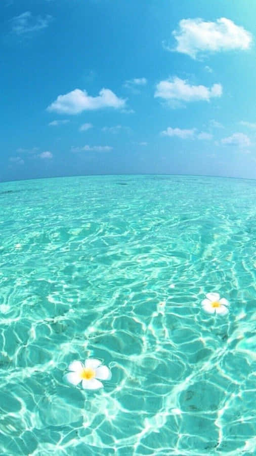 Take In The View Of This Tropical Beach With Your Phone Wallpaper