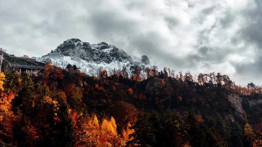 Tall Mountain Fall Aesthetic Macbook Wallpaper