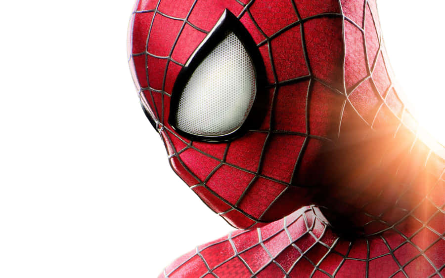 The Amazing Spider - Man Hd Wallpaper Wallpaper