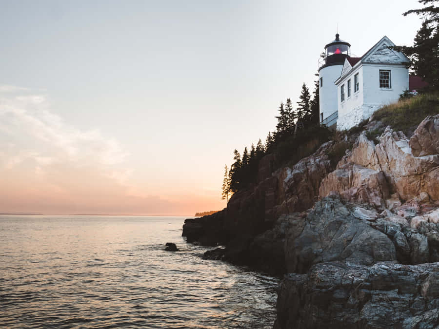 The Last Days Of Summer, Don’t Let Them Slip Away Wallpaper