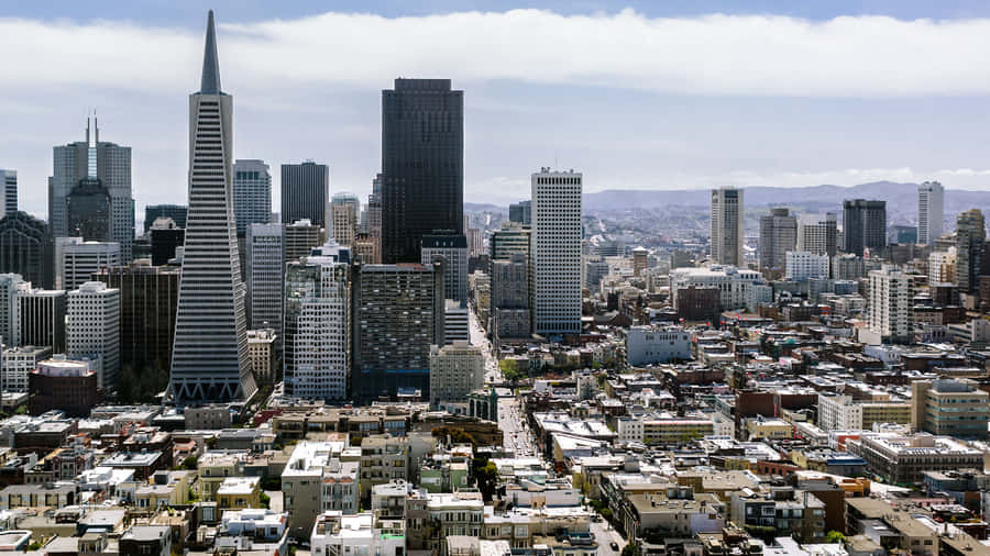 The Transamerica Pyramid In San Francisco Wallpaper