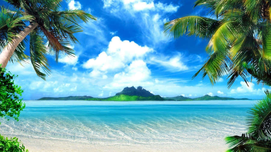 The Untouched Beauty- Ocean Beach On A Bright, Sunny Day Wallpaper