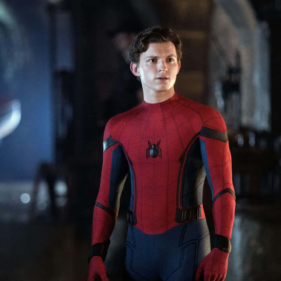 Tom Holland As Spiderman Pfp Wallpaper