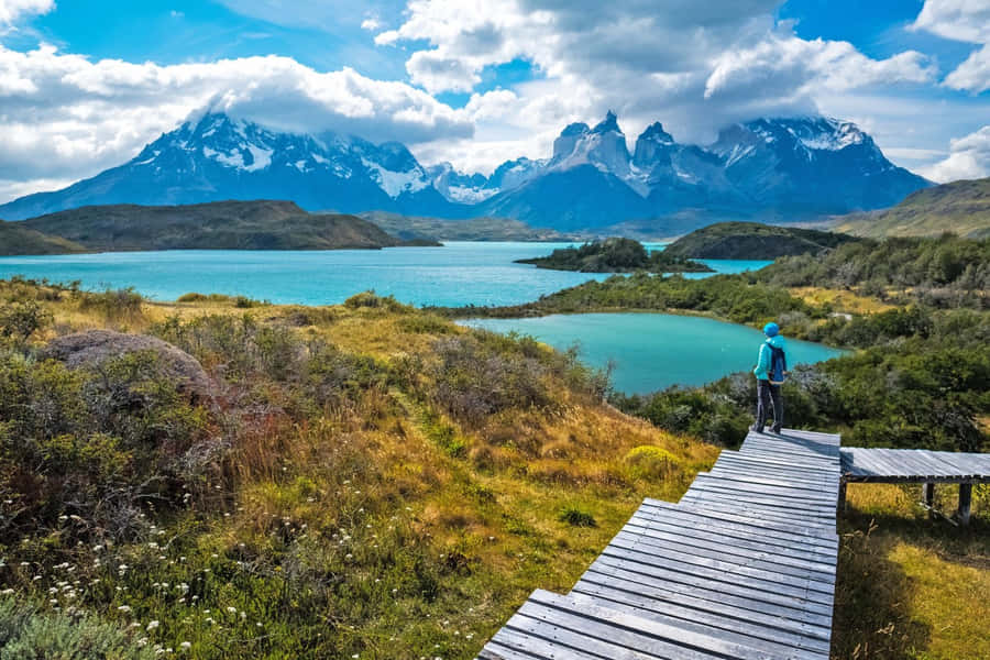 Torres Del Paine Hiker Viewpoint Wallpaper