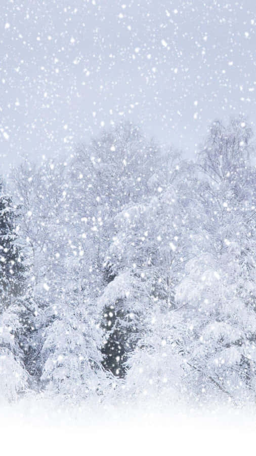 Tranquil Winter Wonderland For Iphone 6 Plus Wallpaper