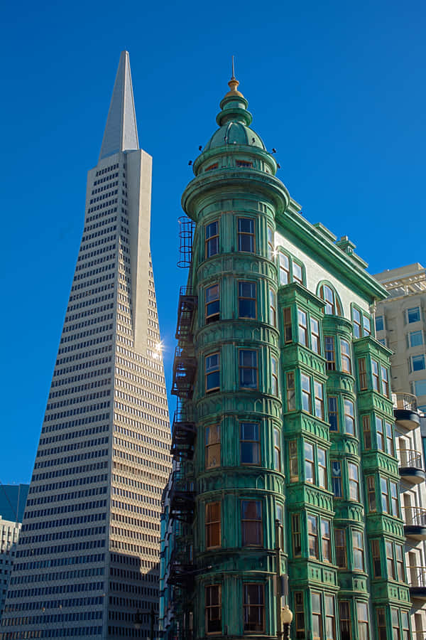 Transamerica Pyramid In San Francisco Wallpaper