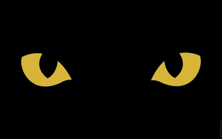 Trick Or Treat? This Black Cat Is Ready For Halloween! Wallpaper