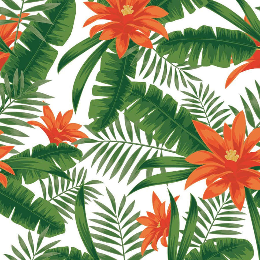 Tropical Plants Orange Lilies Wallpaper