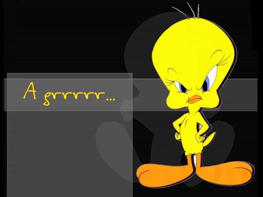 Tweety Bird 1024 X 768 Wallpaper
