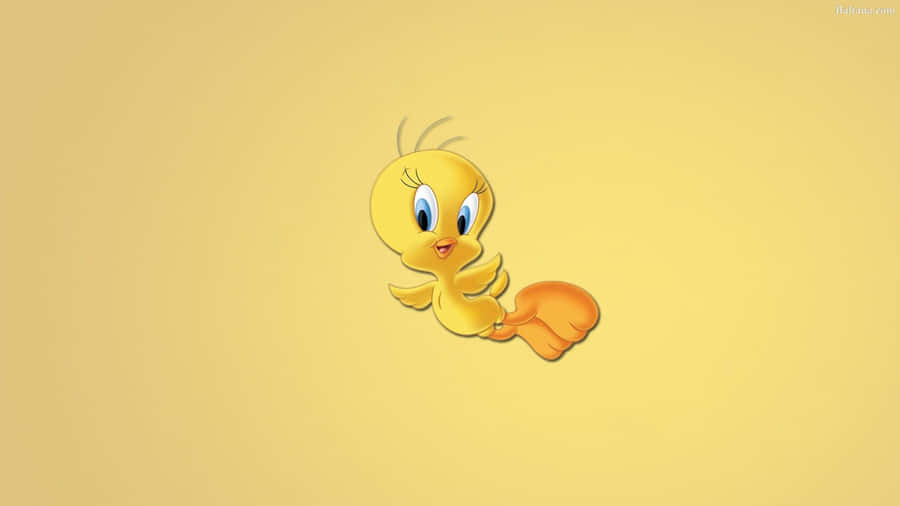 Tweety Bird 1920 X 1080 Wallpaper