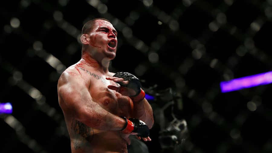 Ufc 14 Mixed Martial Artist Cain Velasquez Wallpaper
