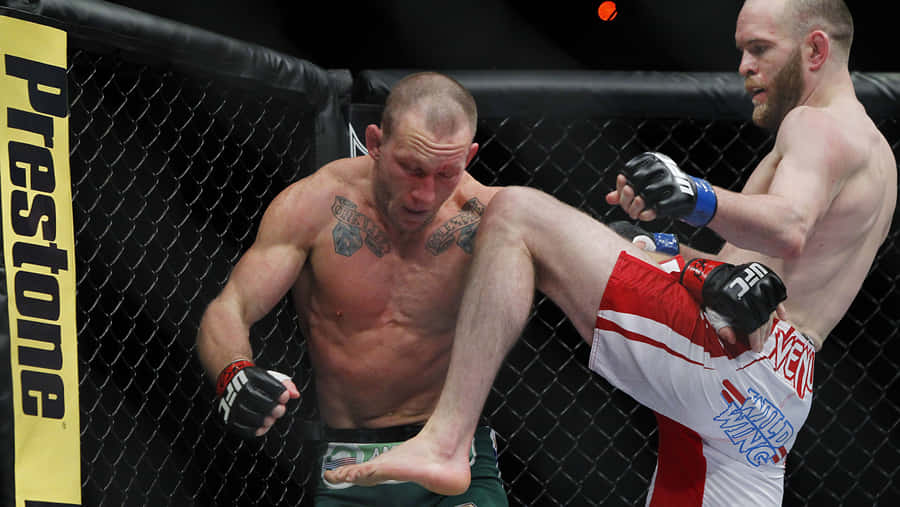 Ufc 160 Gray Maynard Kneed By T.j. Grant By Wallpaper