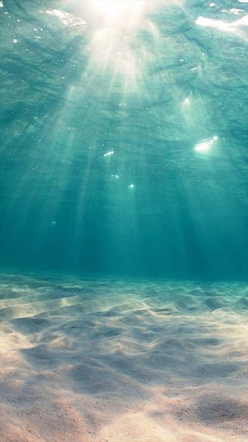 Underwater Cyan Aesthetic Wallpaper