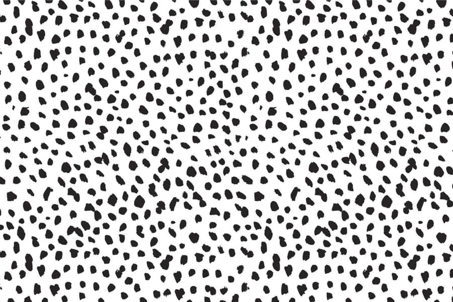 Unleash Your Wild Side With White Leopard Print Wallpaper