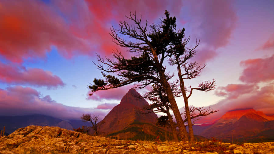 Unlocking The Best Of Google Wallpaper