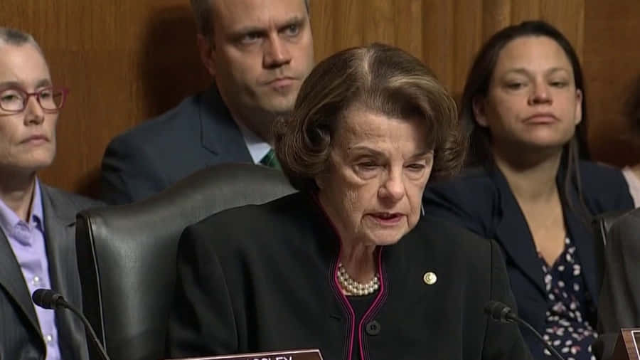Us Senator Dianne Feinstein Reading Notes Wallpaper