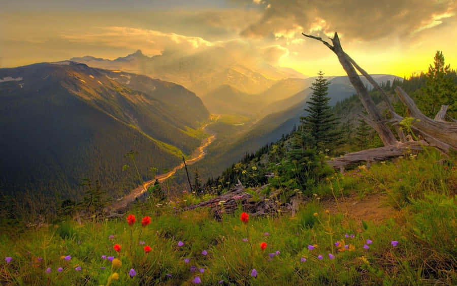 Valley Sunset Landscape Nice Desktop Wallpaper