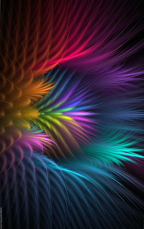 Vibrant Color Phone Wallpaper Wallpaper