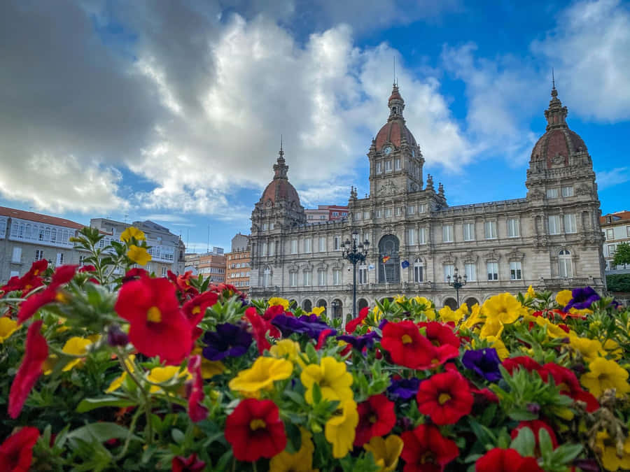 Vibrant Colors Corunna Wallpaper