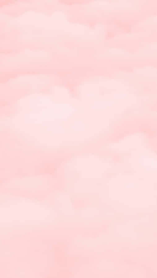 Vibrant Pink Hues Wallpaper