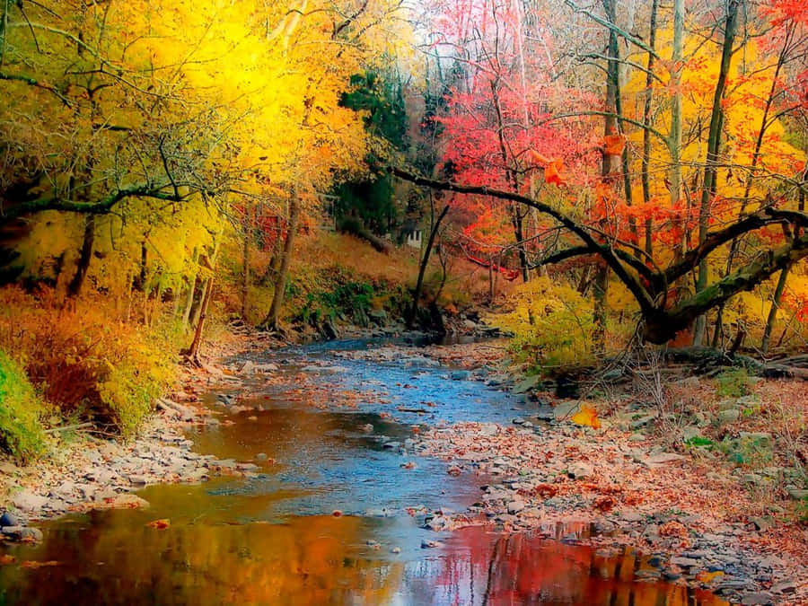 View Of Fall Foliage From The Roadside Wallpaper