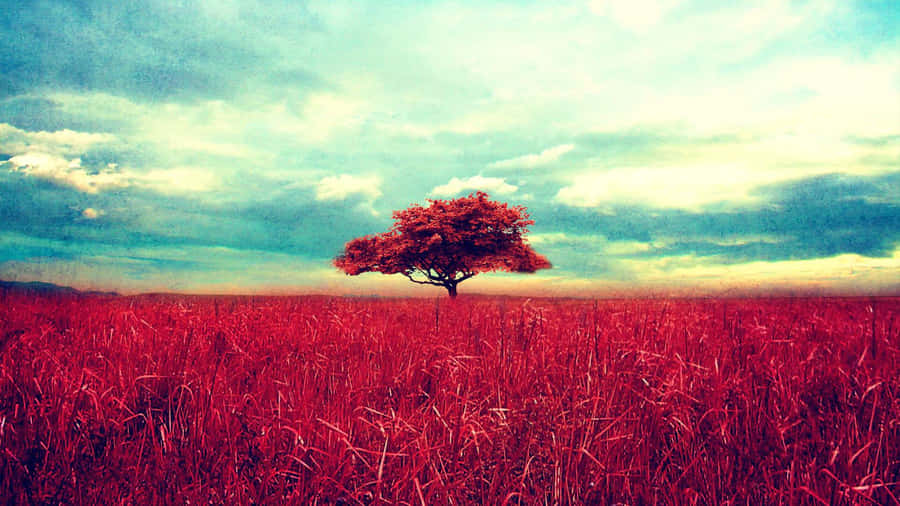 Vintage Desktop Tree And Sky Wallpaper