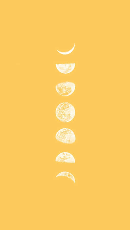 Vivid Aesthetic Colors Wallpaper