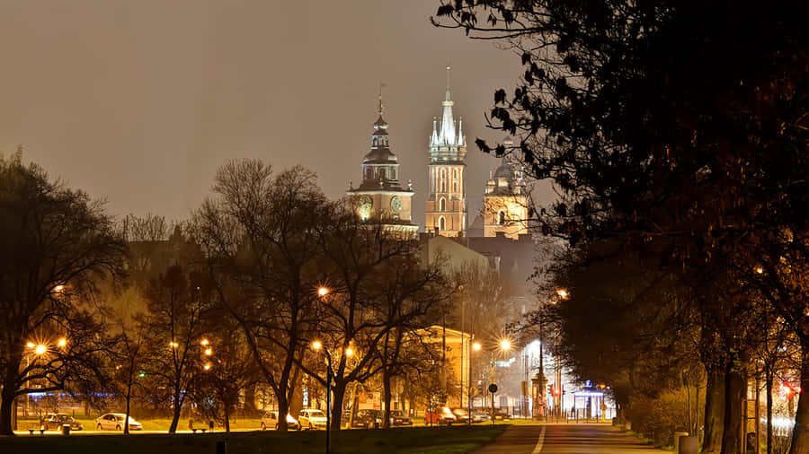 Wawel Castle Night Trees Wallpaper