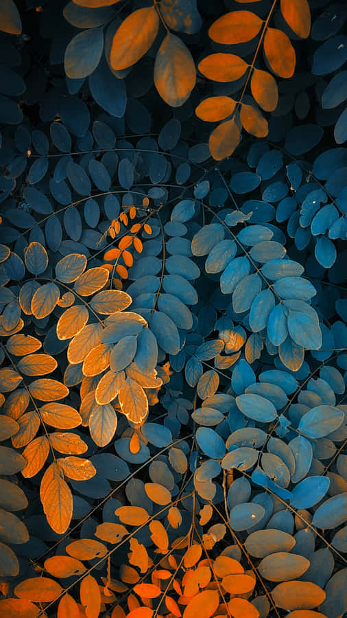 Welcome Autumn With Vibrant Fall Leaves Wallpaper
