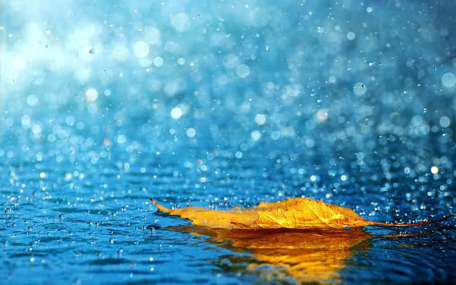 Welcome The Beauty Of Fall With This Vibrant Seasonal Wallpaper! Wallpaper