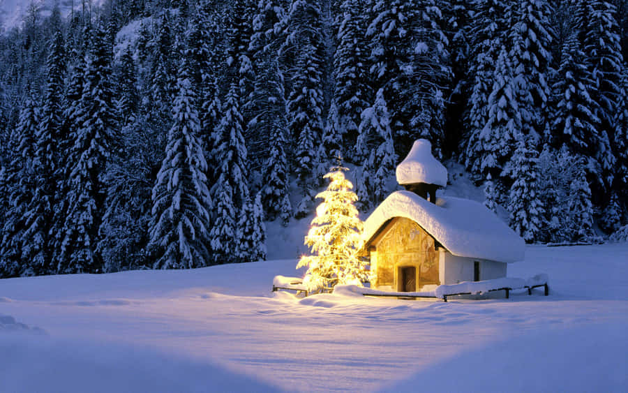 Welcome The Joy Of Winter With A Snow-covered Christmas! Wallpaper
