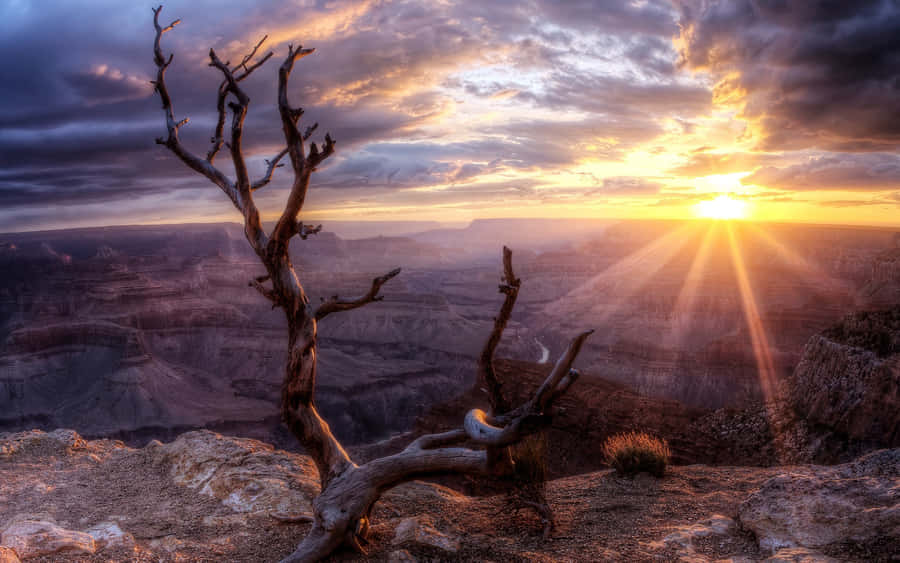 Welcome To Phoenix, Arizona, The Valley Of The Sun Wallpaper