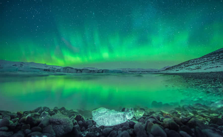 Welcome To The Start Of The Windows Revolution Wallpaper