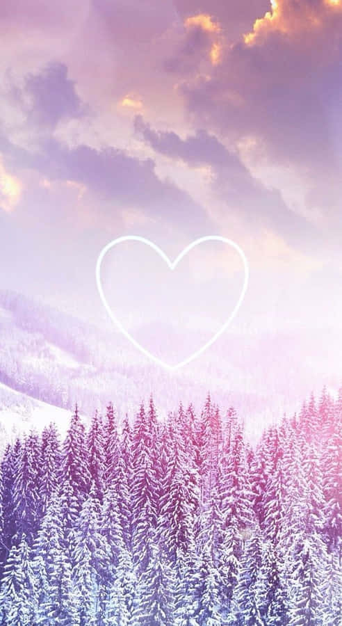 White Pines Trees With Lavender Purple Filter Wallpaper