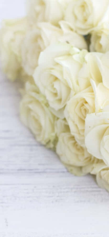 White Roses Iphone On White Wood Wallpaper
